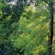 Arapaho RV Park: Canoe & Raft at Family Campground! | Your Ultimate Guide to Rafting Adventures, Gear & River Trips