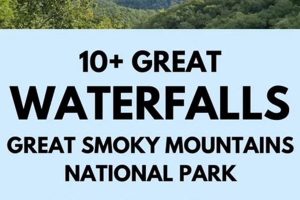 Rafting the Great Smoky Mountains National Park: Adventure Awaits! | Your Ultimate Guide to Rafting Adventures, Gear & River Trips