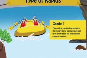 Whitewater Rafting Grades: Beginner to Expert Guide | Your Ultimate Guide to Rafting Adventures, Gear & River Trips