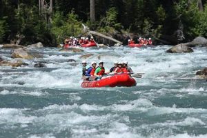 Thrilling White Water Rafting Bellingham, WA: Tours & More | Your Ultimate Guide to Rafting Adventures, Gear & River Trips