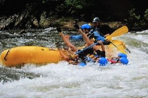 Thrilling White Water Rafting Copperhill TN: Ocoee Adventure! | Your Ultimate Guide to Rafting Adventures, Gear & River Trips