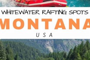 Find The Best Rafting in Montana: [YEAR] Guide | Your Ultimate Guide to Rafting Adventures, Gear & River Trips