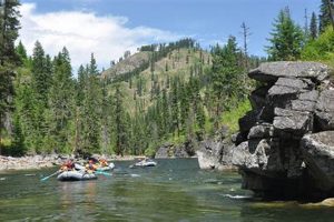 Plan Your Selway River Rafting Adventure | Trip Guide | Your Ultimate Guide to Rafting Adventures, Gear & River Trips
