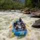 Thrilling White Water Rafting in New River Gorge (Guide) | Your Ultimate Guide to Rafting Adventures, Gear & River Trips