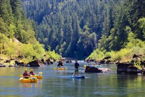 Your Best Rogue River Rafting Company: Trips & Adventure! | Your Ultimate Guide to Rafting Adventures, Gear & River Trips