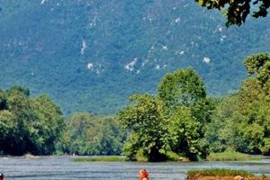 Best Rafting Near Luray VA: River Adventures Await! | Your Ultimate Guide to Rafting Adventures, Gear & River Trips