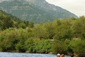 Experience Weber River Rafting in Utah + Deals! | Your Ultimate Guide to Rafting Adventures, Gear & River Trips