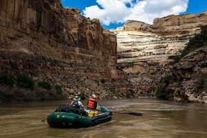 Your Dinosaur National Park Rafting Adventure Guide | Your Ultimate Guide to Rafting Adventures, Gear & River Trips
