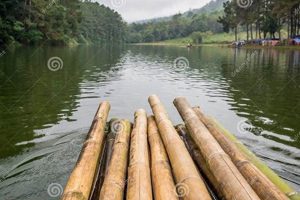 Build a Raft in Lake: DIY Guide & Safety Tips | Your Ultimate Guide to Rafting Adventures, Gear & River Trips