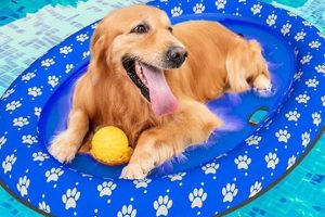 Safe Water Fun: Dog Rafts for Water Adventures | Your Ultimate Guide to Rafting Adventures, Gear & River Trips