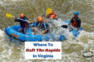 Explore Roanoke VA White Water Rafting Trips & Fun | Your Ultimate Guide to Rafting Adventures, Gear & River Trips