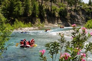 Thrilling White Water Rafting Reno Adventure Awaits! | Your Ultimate Guide to Rafting Adventures, Gear & River Trips