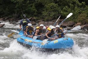 Top Ocoee River Rafting Companies: Your Adventure Starts Here! | Your Ultimate Guide to Rafting Adventures, Gear & River Trips