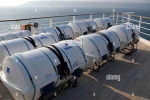 Cruise Ship Life Rafts: Your Safety at Sea! | Your Ultimate Guide to Rafting Adventures, Gear & River Trips