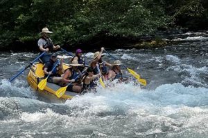 Plan Your McKenzie River White Water Rafting Adventure! | Your Ultimate Guide to Rafting Adventures, Gear & River Trips