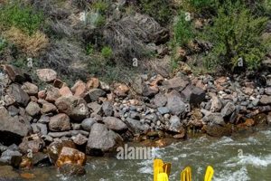 Experience Canon City White Water Rafting Adventures! | Your Ultimate Guide to Rafting Adventures, Gear & River Trips