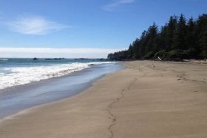 Explore Raft Cove Park: A Coastal Paradise Awaits! | Your Ultimate Guide to Rafting Adventures, Gear & River Trips