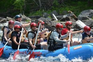 Your Guide to Crabapple White Water Rafting Adventures! | Your Ultimate Guide to Rafting Adventures, Gear & River Trips