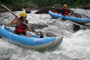 Explore Cheat River Rafting Adventures: A Thrilling Guide! | Your Ultimate Guide to Rafting Adventures, Gear & River Trips