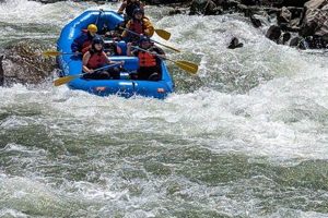 The Ultimate Auburn White Water Rafting Adventure Guide | Your Ultimate Guide to Rafting Adventures, Gear & River Trips