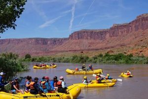 Experience Grand Junction Rafting Trips - Deals & More! | Your Ultimate Guide to Rafting Adventures, Gear & River Trips