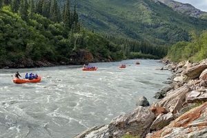 Denali Water Rafting Tours: Best AK Whitewater Trips | Your Ultimate Guide to Rafting Adventures, Gear & River Trips