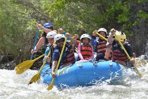 Book Arkansas River Rafting Tours Now | Adventure Awaits! | Your Ultimate Guide to Rafting Adventures, Gear & River Trips