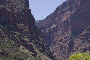 Plan Your Green River River Rafting Trip | [Year] Guide | Your Ultimate Guide to Rafting Adventures, Gear & River Trips