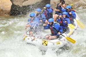 Buena Vista Rafting: River Runners & Thrilling Rapids! | Your Ultimate Guide to Rafting Adventures, Gear & River Trips