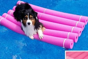 Buy Dog Water Raft: The Ultimate Float for Dogs! | Your Ultimate Guide to Rafting Adventures, Gear & River Trips