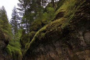 Thrilling Whitewater Rafting in Washington State: Adventure Awaits! | Your Ultimate Guide to Rafting Adventures, Gear & River Trips