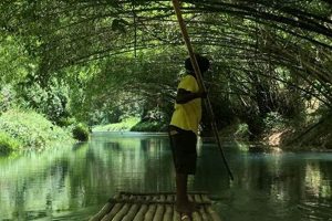Discover Martha Brae River Bamboo Rafting: Jamaica's Gem | Your Ultimate Guide to Rafting Adventures, Gear & River Trips