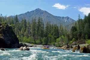 Explore Illinois River Rafting: Guide + Best Spots! | Your Ultimate Guide to Rafting Adventures, Gear & River Trips