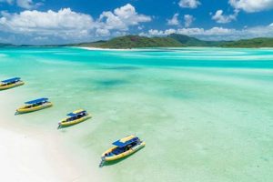 Experience White Haven Rafting: Adventure Awaits! | Your Ultimate Guide to Rafting Adventures, Gear & River Trips