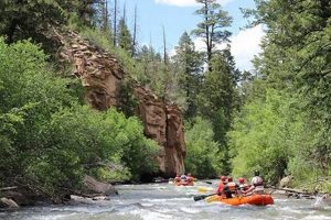 Adventure Rafting Near Telluride: Trips & Tours | Your Ultimate Guide to Rafting Adventures, Gear & River Trips