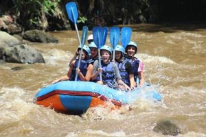 Bali's Wild Water Rafting: River Adventure! | Your Ultimate Guide to Rafting Adventures, Gear & River Trips