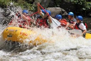 Best Hartford White Water Rafting Trips: Guide & Info | Your Ultimate Guide to Rafting Adventures, Gear & River Trips