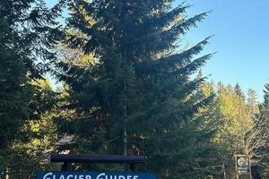 Your Montana Raft Co Adventure: Tours & Rentals! | Your Ultimate Guide to Rafting Adventures, Gear & River Trips