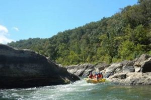 Your Guide: Whitewater Rafting near Lexington, KY | Adventure Awaits | Your Ultimate Guide to Rafting Adventures, Gear & River Trips