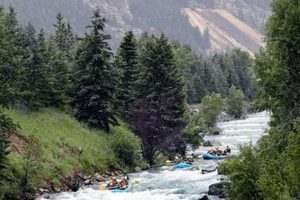 Book Now: Whitewater Rafting Trips Breckenridge, CO - Deals! | Your Ultimate Guide to Rafting Adventures, Gear & River Trips