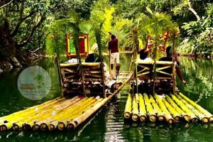 Your Great River Rafting: Montego Bay Adventure Awaits! | Your Ultimate Guide to Rafting Adventures, Gear & River Trips