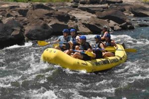 Thrilling Near Atlanta: Whitewater Rafting Adventures | Your Ultimate Guide to Rafting Adventures, Gear & River Trips