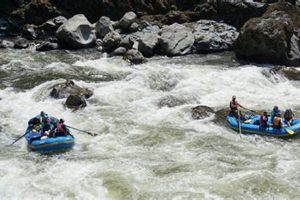 Oregon Rogue River Rafting: Your Ultimate Adventure! | Your Ultimate Guide to Rafting Adventures, Gear & River Trips