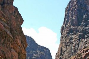 Plan Your Thrilling Rafting Canon City, Colorado Adventure Today! | Your Ultimate Guide to Rafting Adventures, Gear & River Trips
