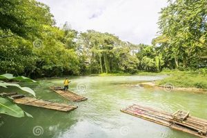 Experience Jamaica Bamboo River Rafting: A Guide! | Your Ultimate Guide to Rafting Adventures, Gear & River Trips