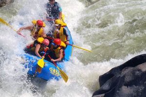 Explore Water Rafting San Diego: Tours &amp; More | Your Ultimate Guide to Rafting Adventures, Gear & River Trips