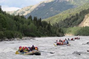 Explore Denali National Park Rafting Adventures Now! | Your Ultimate Guide to Rafting Adventures, Gear & River Trips