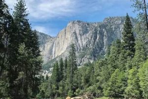 Your Guide: Rafting Yosemite Park's Merced River Adventure | Your Ultimate Guide to Rafting Adventures, Gear & River Trips