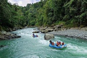 Experience Sarapiqui River Rafting: Costa Rica Adventure | Your Ultimate Guide to Rafting Adventures, Gear & River Trips