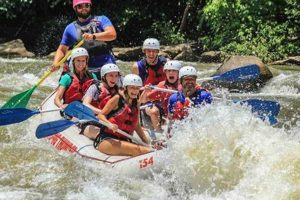 Thrilling North Georgia White Water Rafting Trips: Book Now! | Your Ultimate Guide to Rafting Adventures, Gear & River Trips